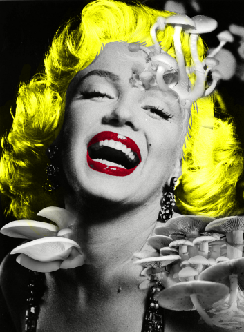 Marilyn-Monroe-Infected